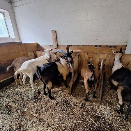Mair Am Hof - Farm - Maso - Bauernhof Villa San Lorenzo di Sebato Luaran gambar